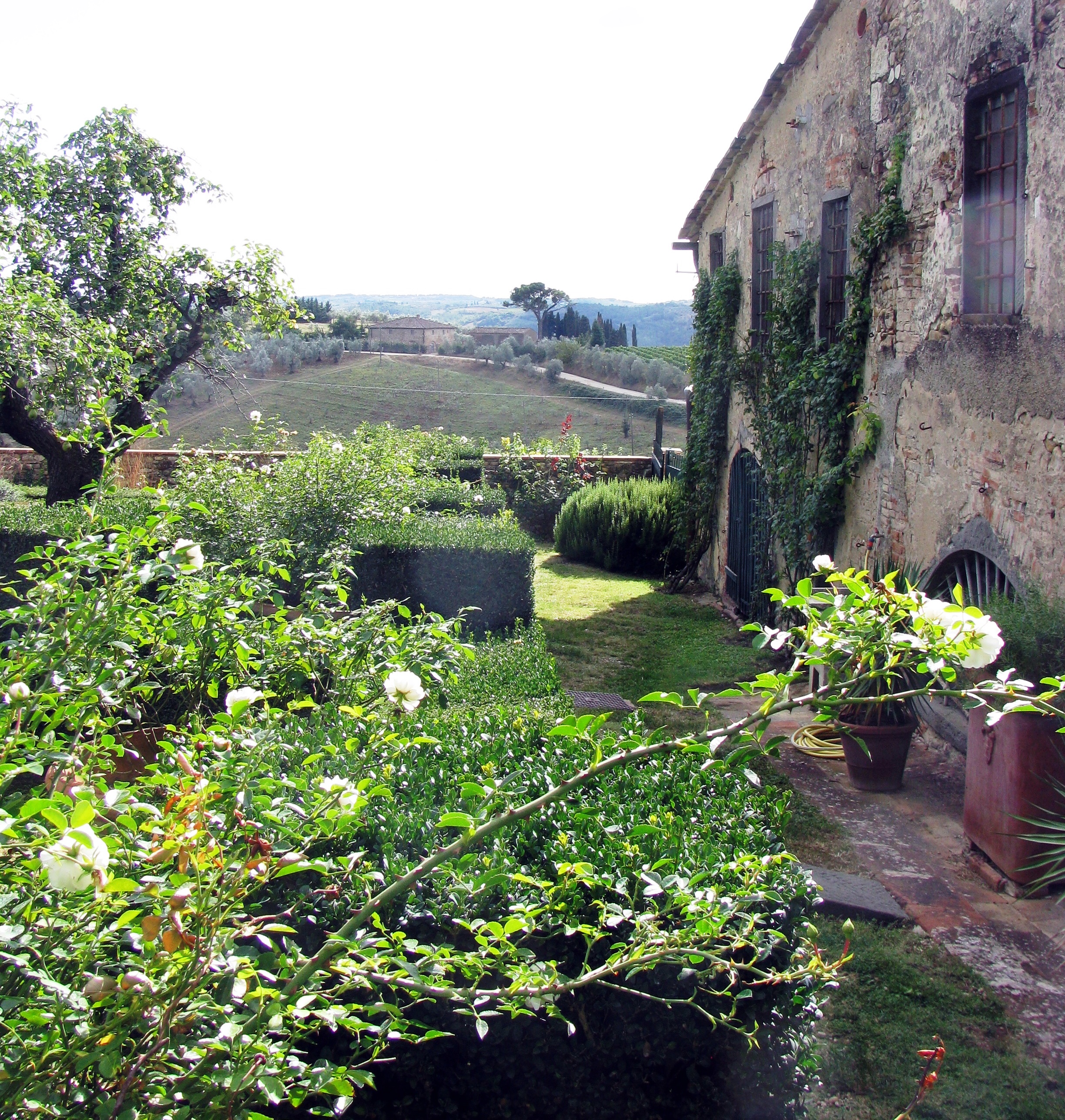 Tuscan landscape